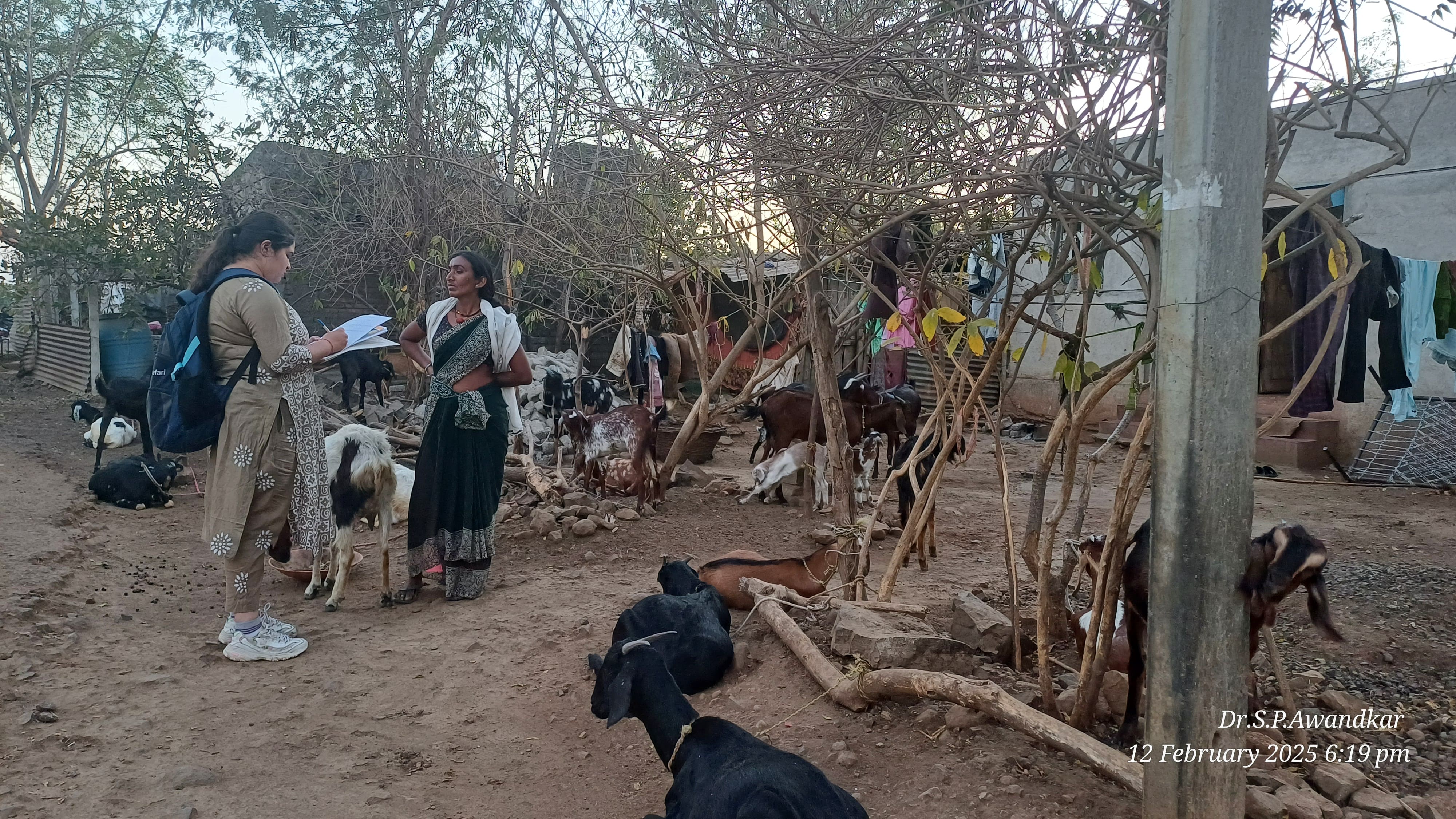 62. Survey Of Goat Farmers For Antibiotic Use, Tuberculosis And Q Fever